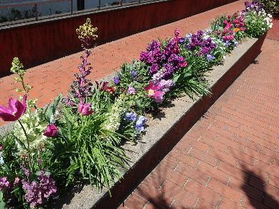 花壇の写真2