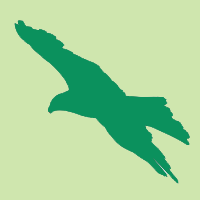 鷹のシルエット