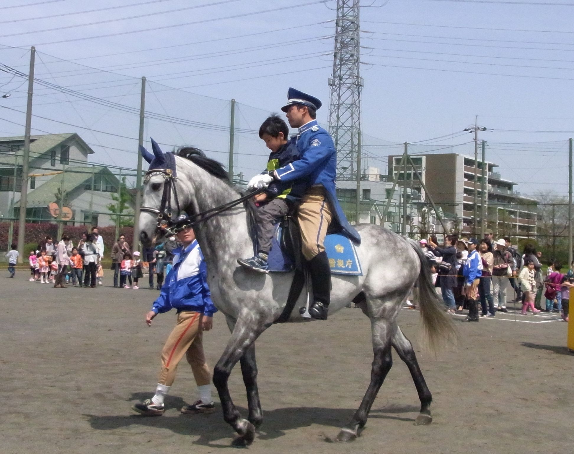 校庭で灰色の毛並みの馬に乗る、子供と騎手の写真